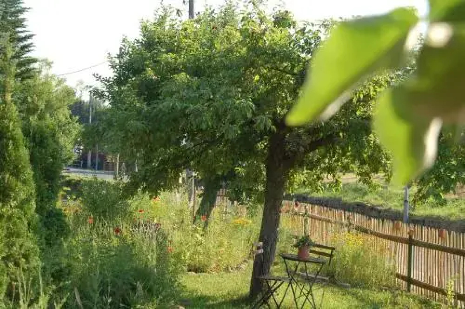 Ferienwohnung Katzstein