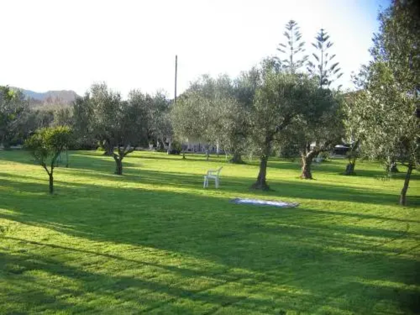 Dimaras Apartments