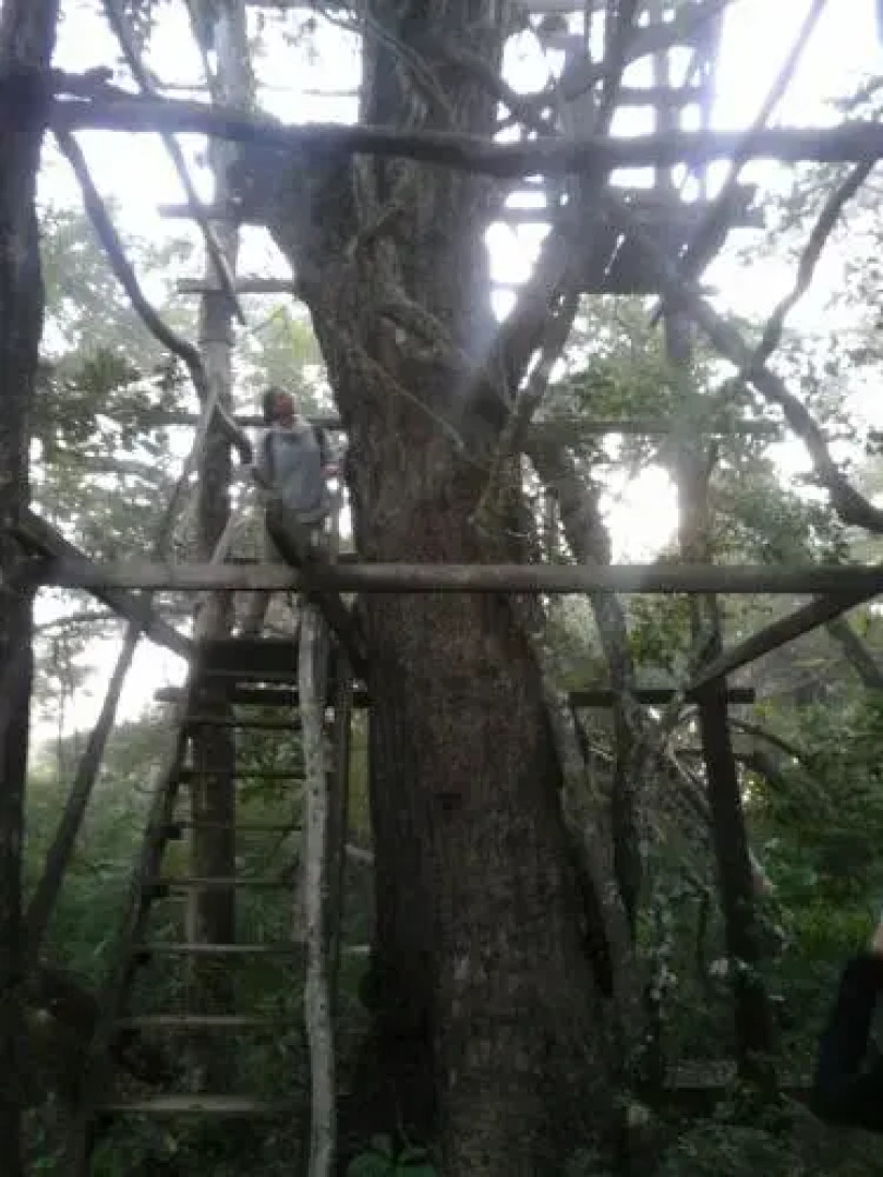 Pousada Rio Clarinho