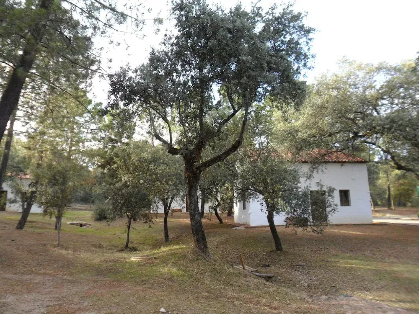 Camping Puente Nuevo