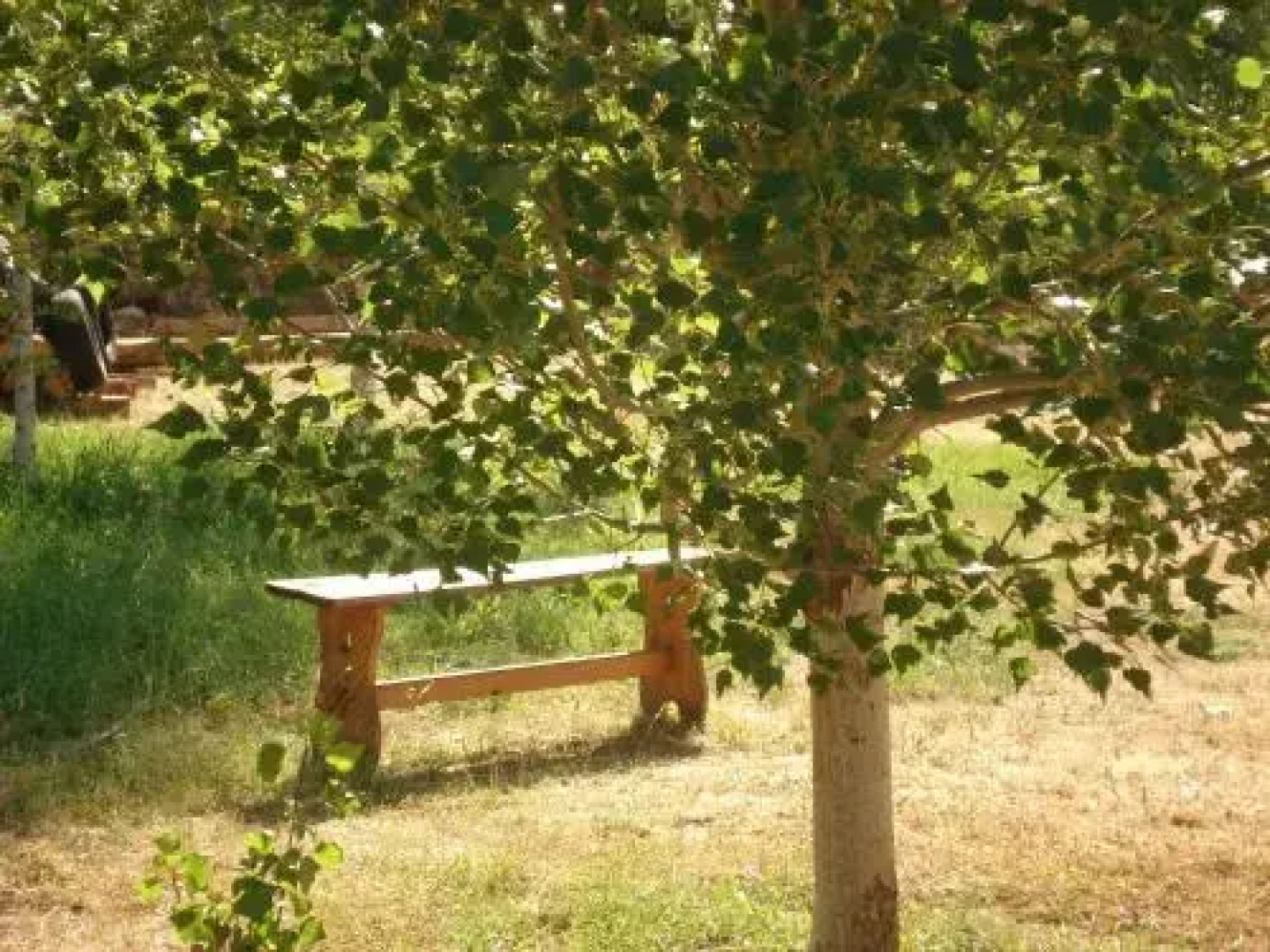 Masia El Carcabà - Molí del Pont.