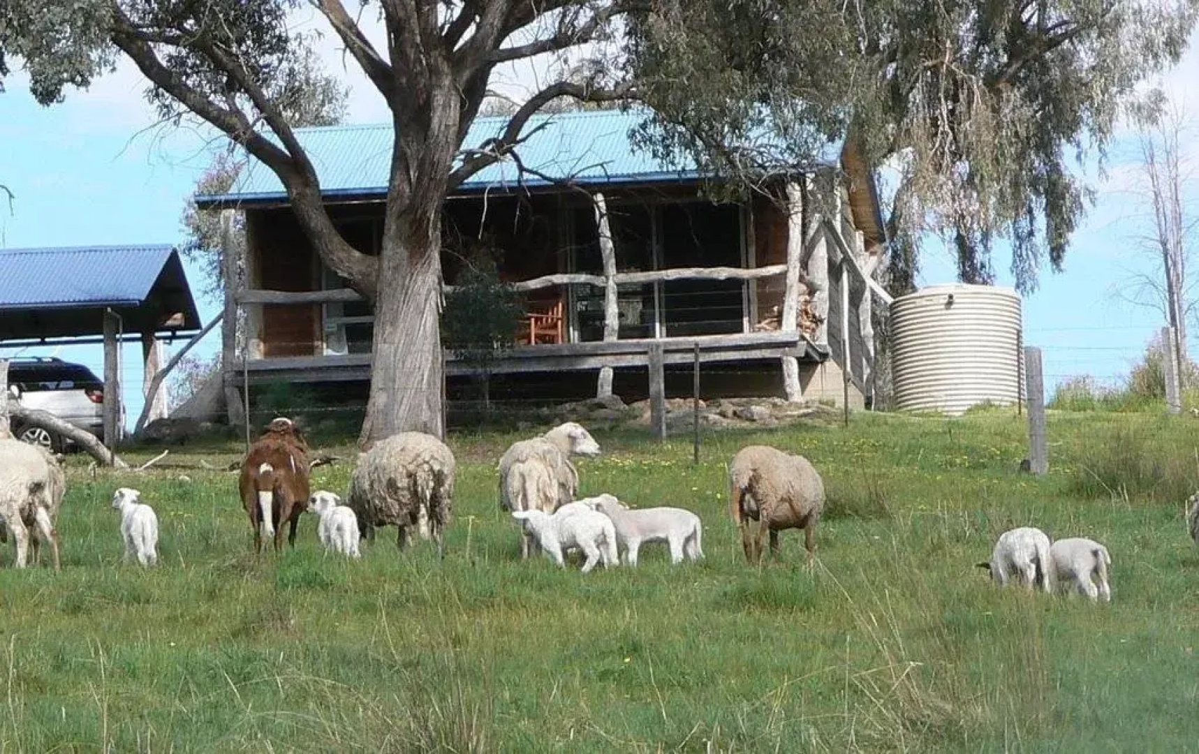 Gaddleen Grove Cottages