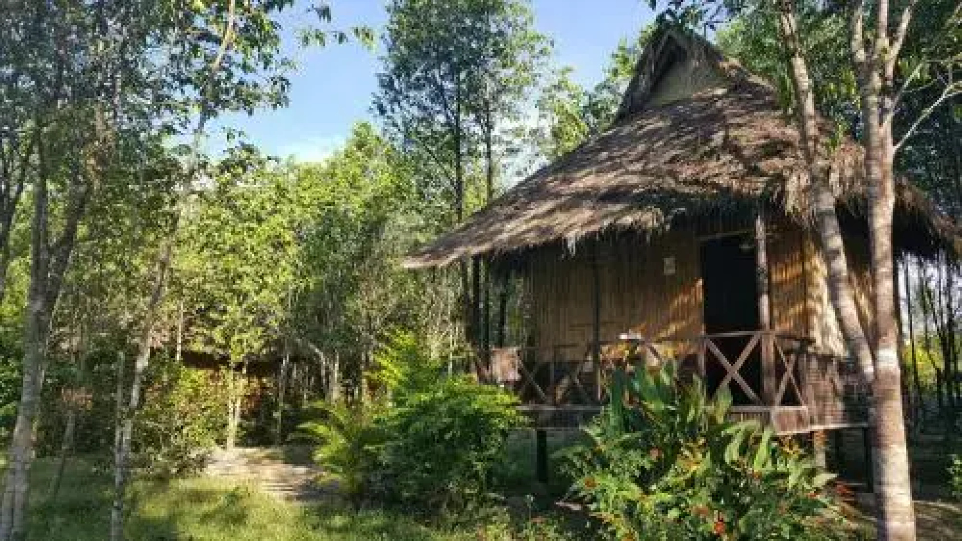 Sun Bear Bungalows