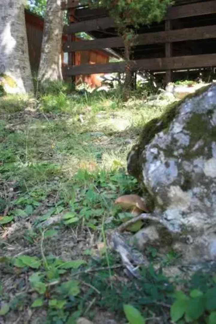 Campeggio Di Schia