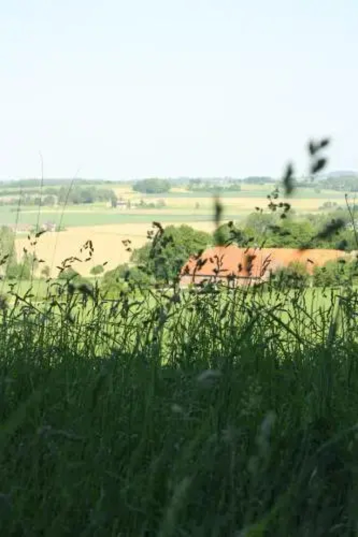 Hoeve Hommerich