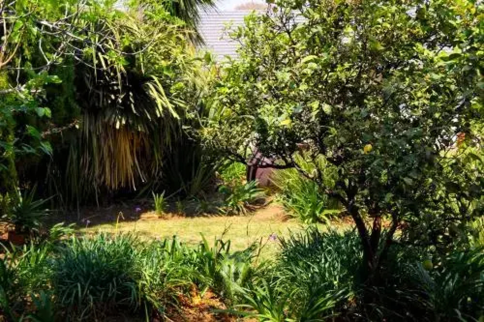 La Coscello Guest House