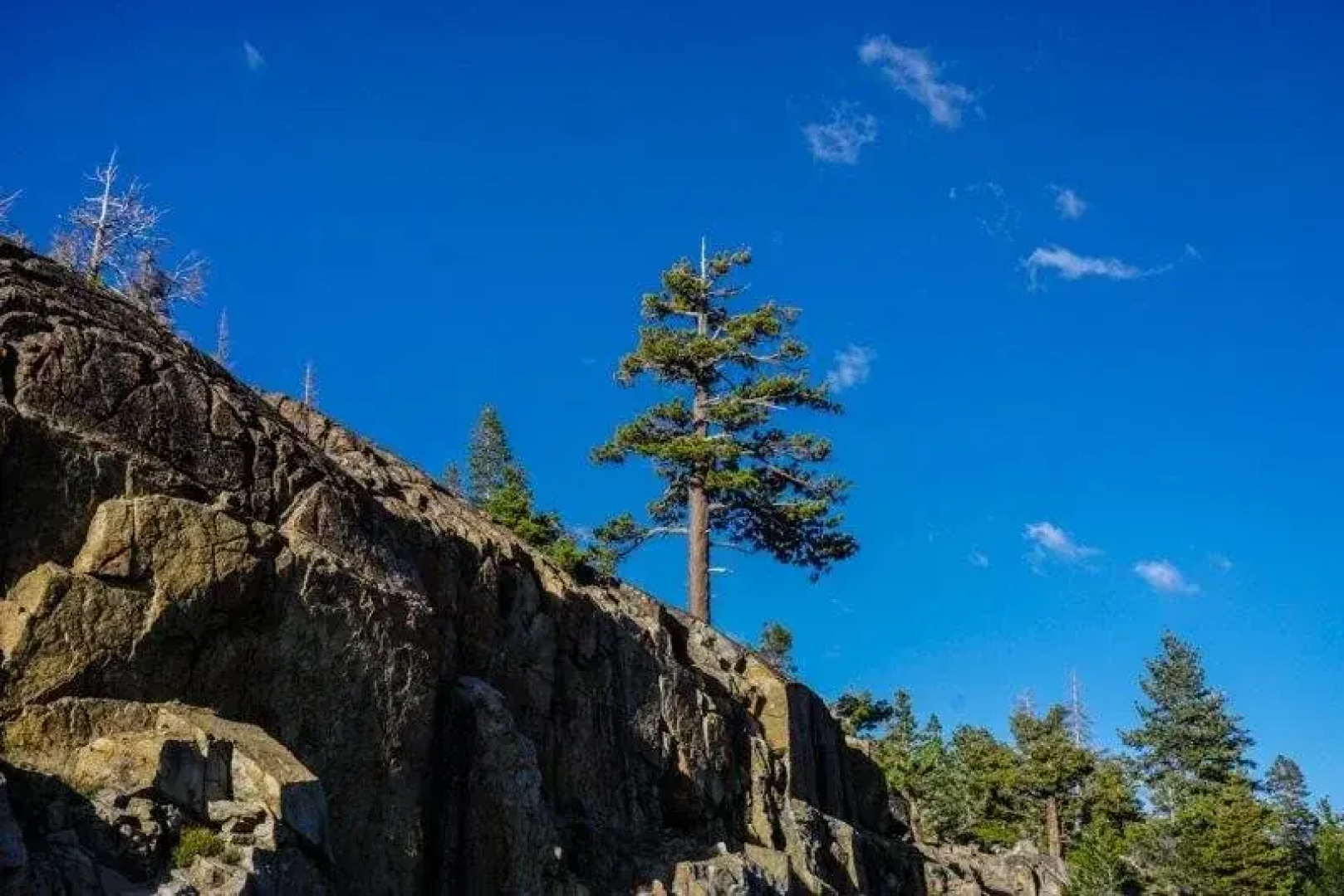 Base Camp Unit #39 2 Bedroom Condo