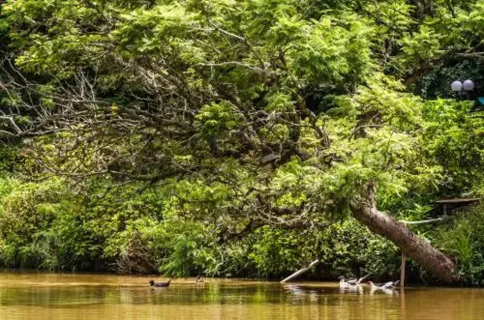 Hotel Recanto das Hortênsias