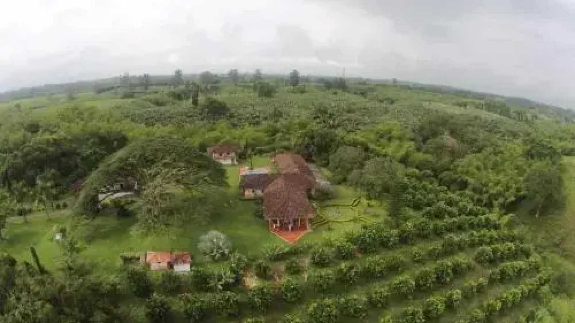 Hacienda El Saman