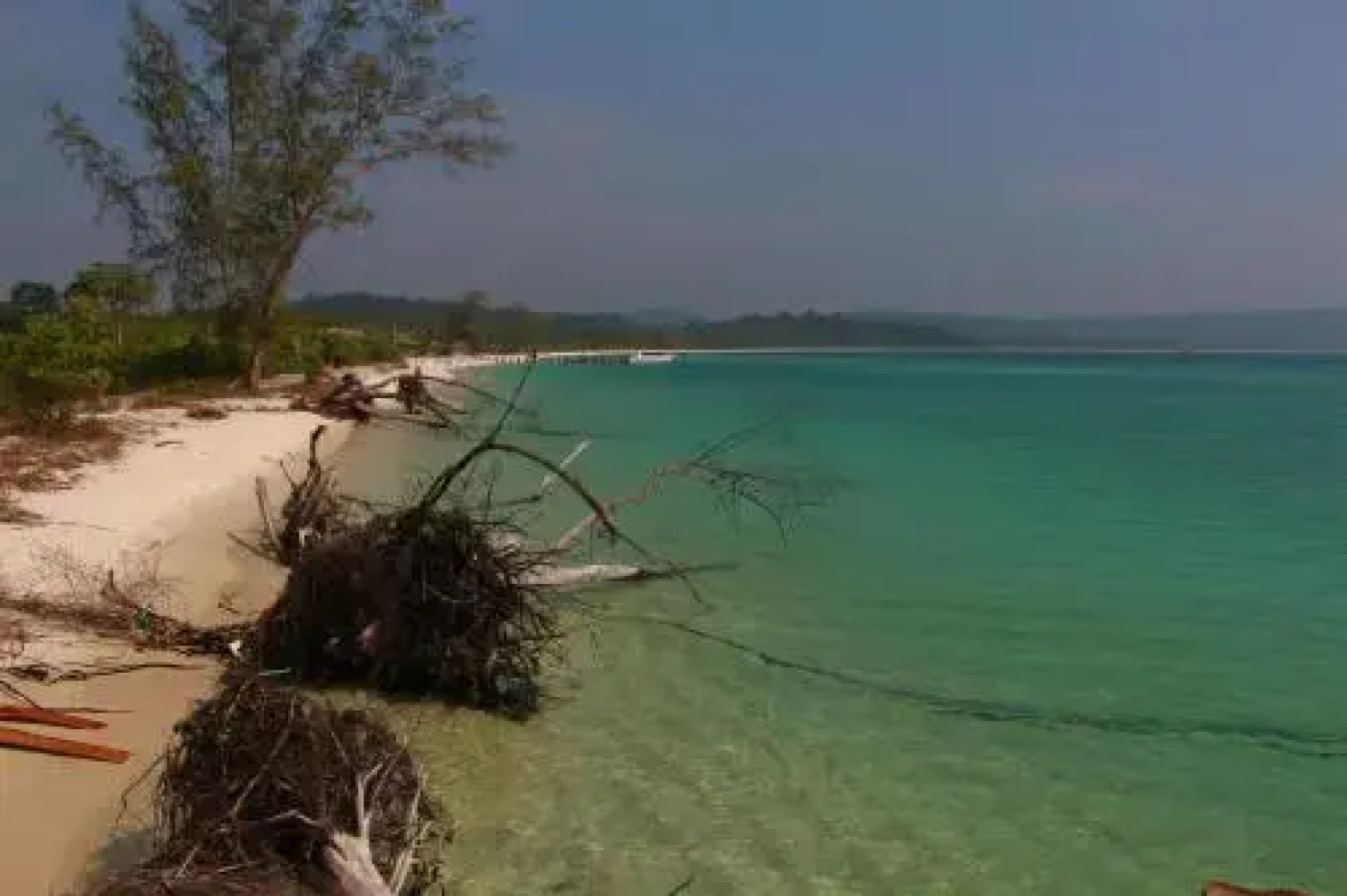 Sunflower guesthouse