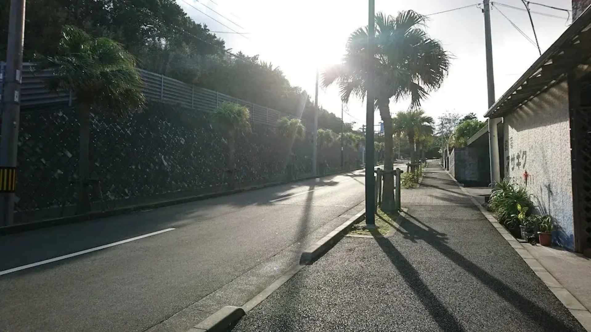 Asagiku