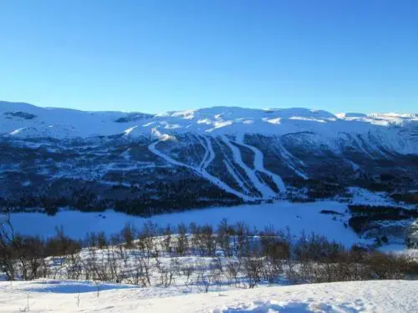 Myrland Turist og Servicesenter