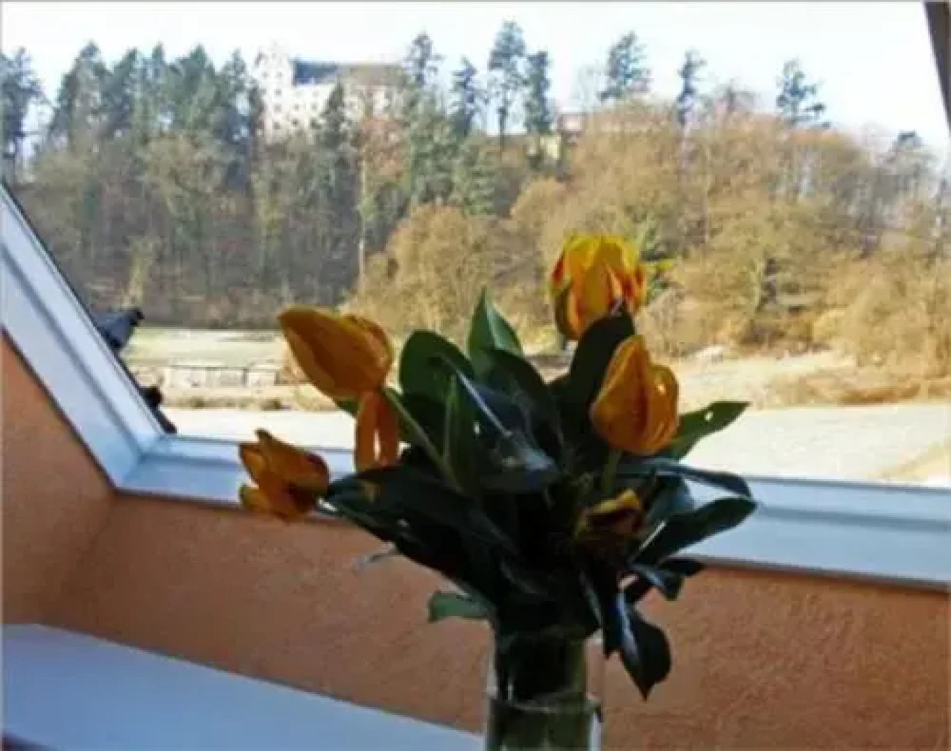 Ferienwohnungen Xenophil