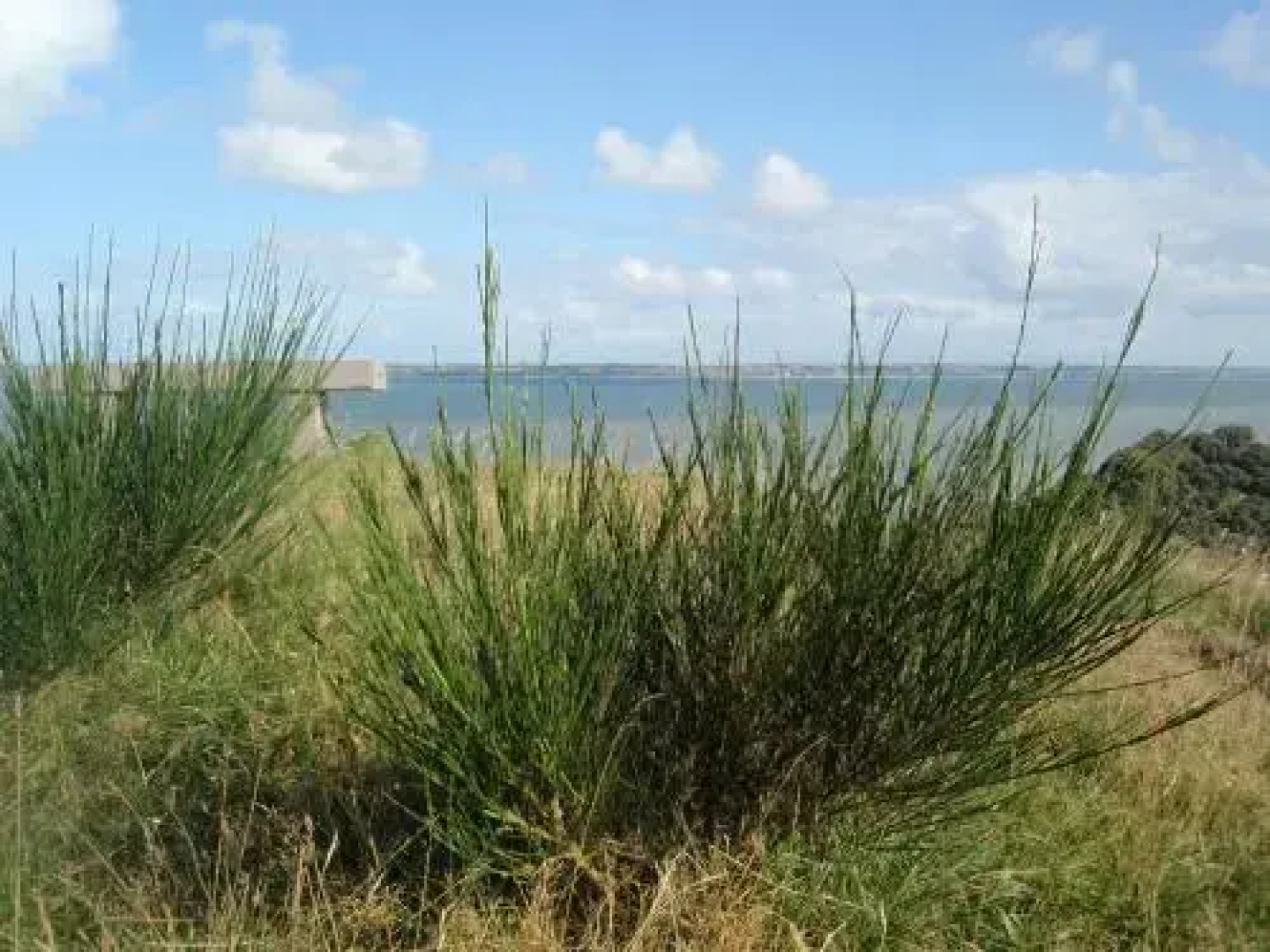 Toftum Bjerge Holiday House