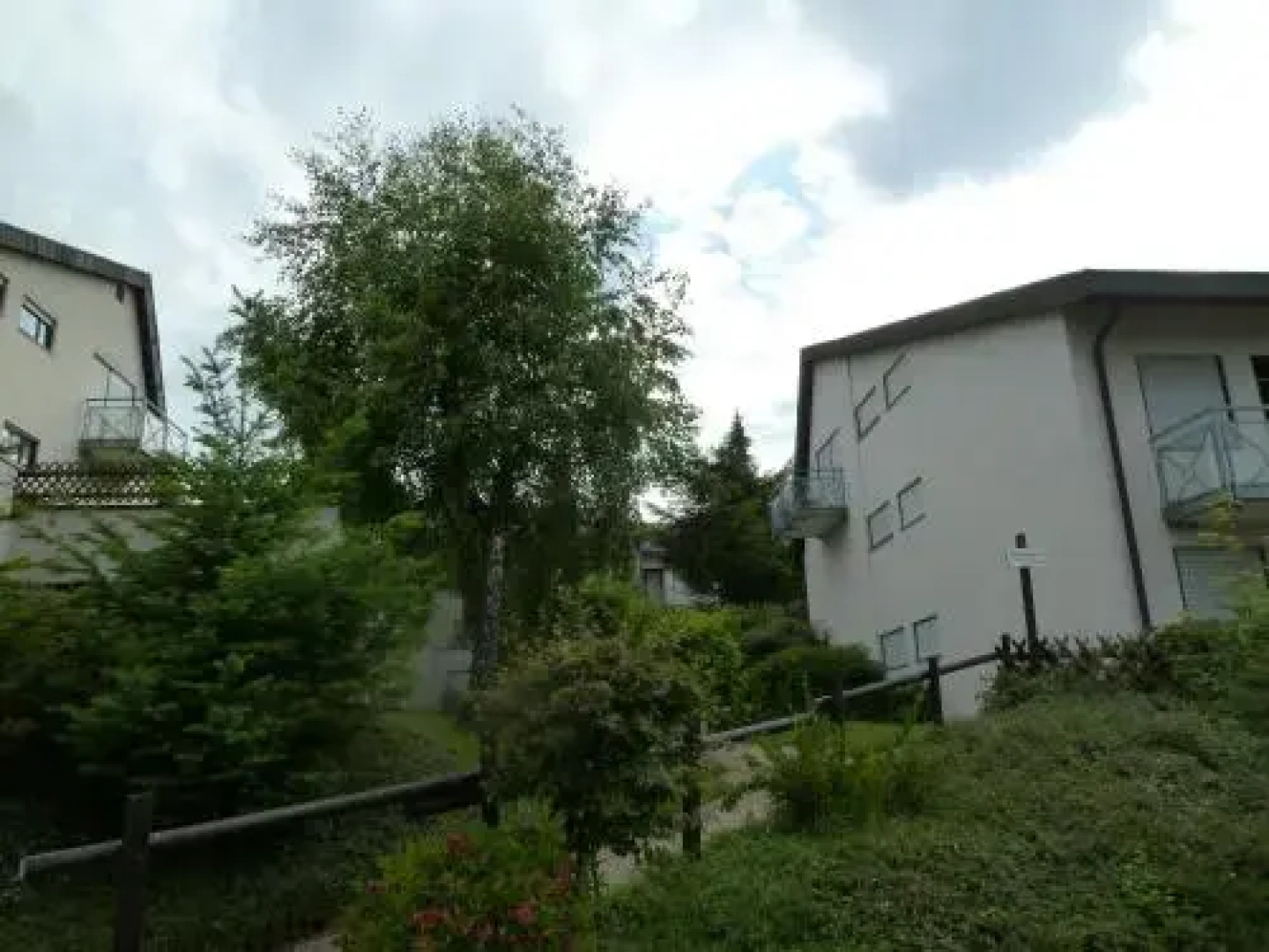Schwarzwaldblick