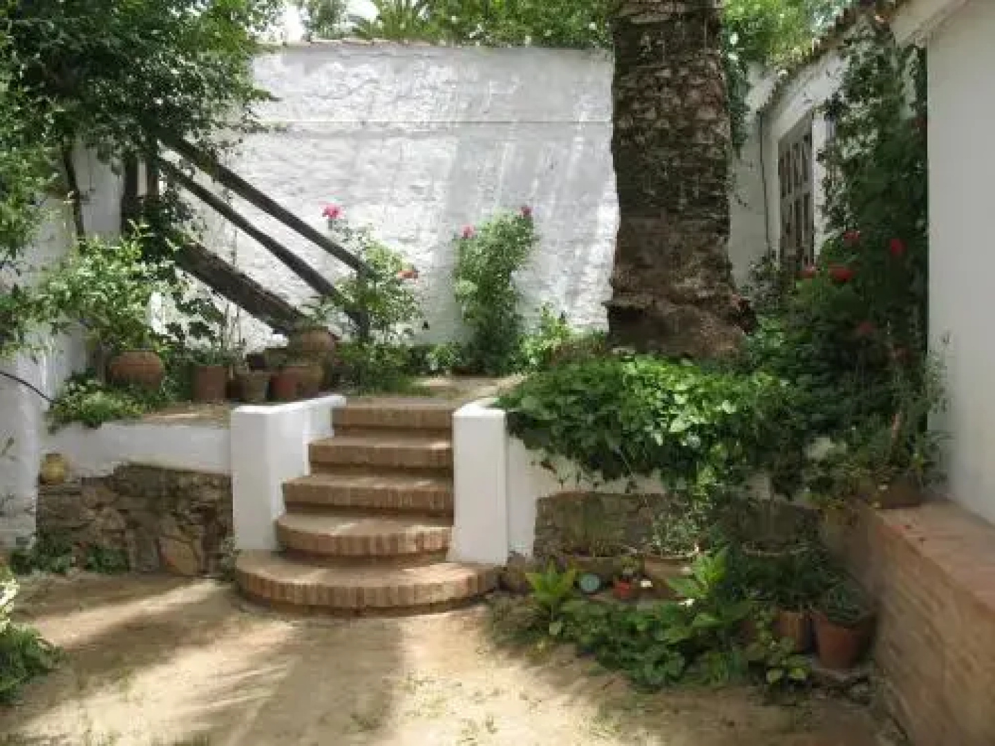 Casa Oropendola