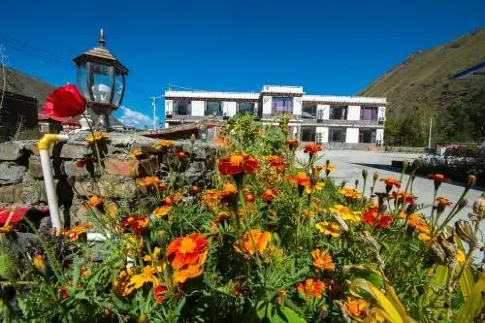 Xinduqiao Yak International Youth Hostel