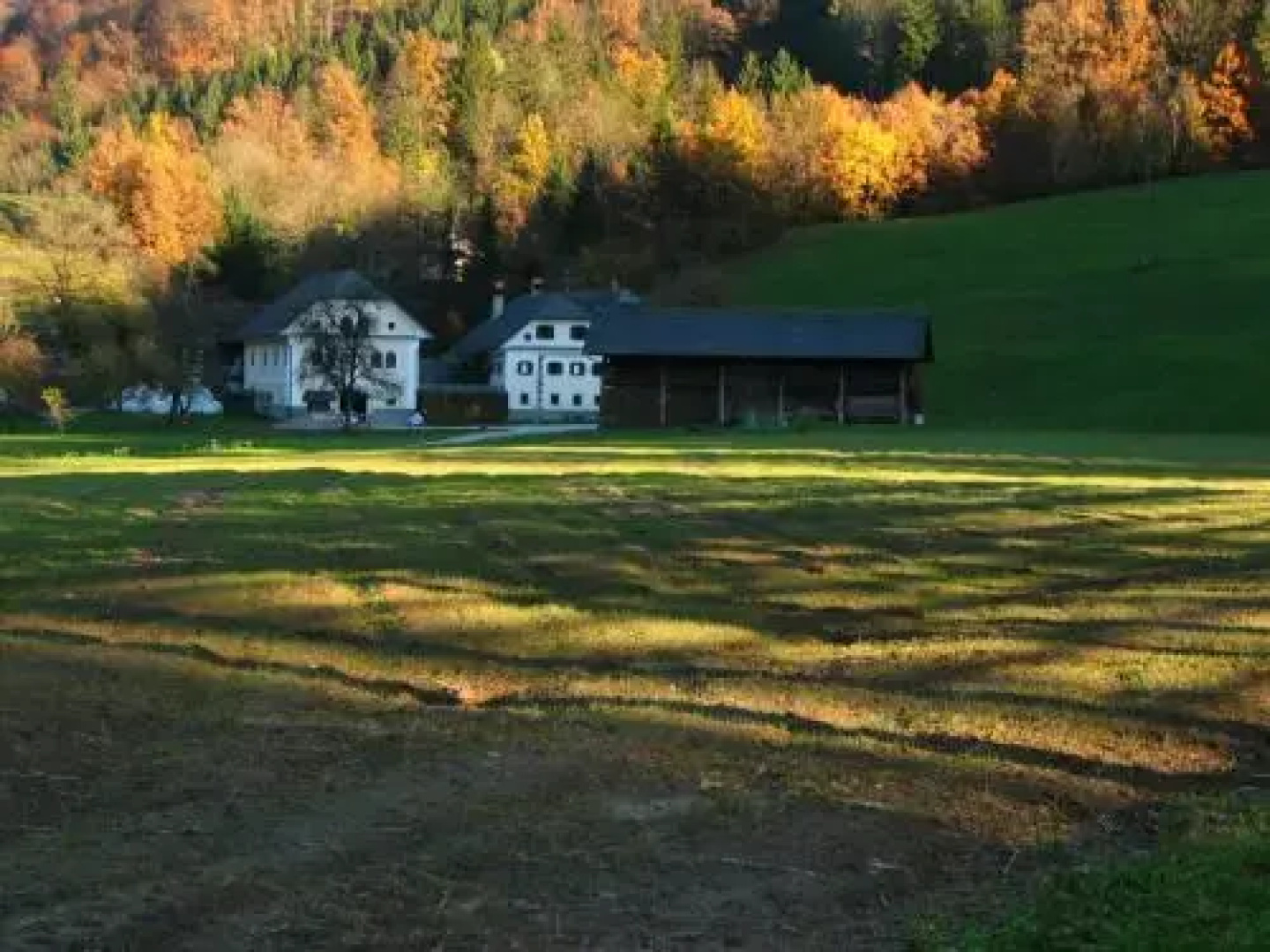 Apartments Cvetje v Jeseni