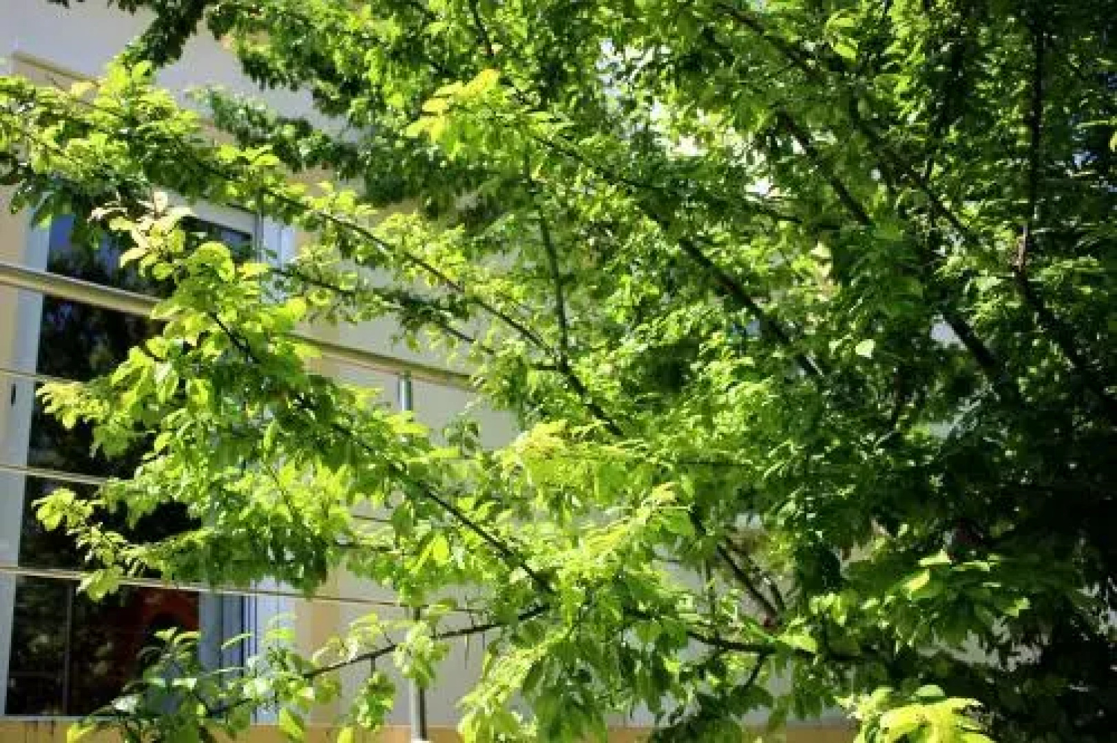 Sofia Filoxenia House