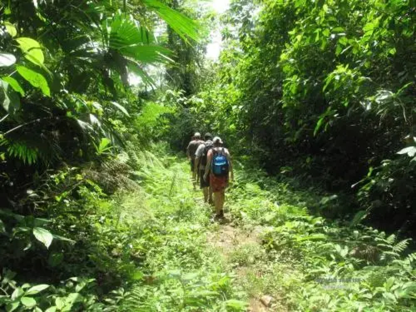Pacific Sailfish Ecolodge