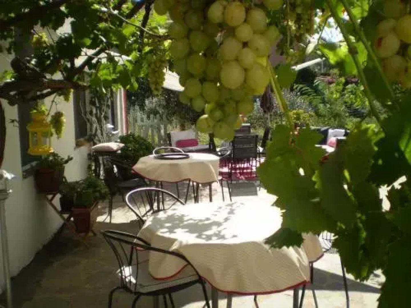 Il Giardino Di Emilio