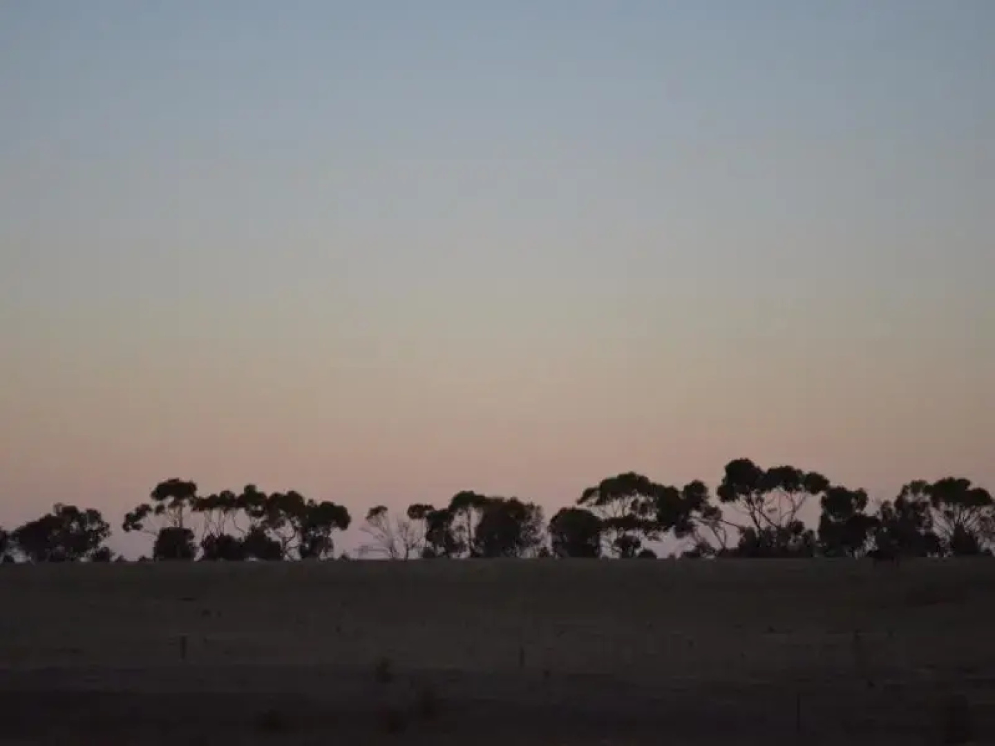 Doro Tourist Farm Cabins