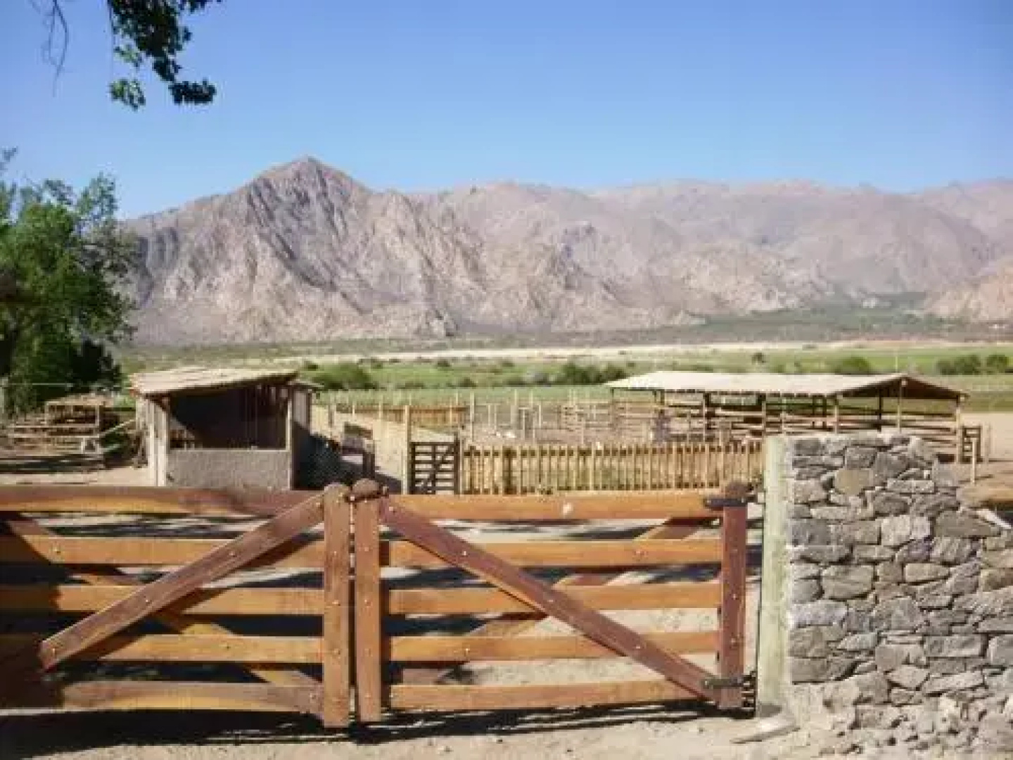 Alquiler de Casa en Cafayate