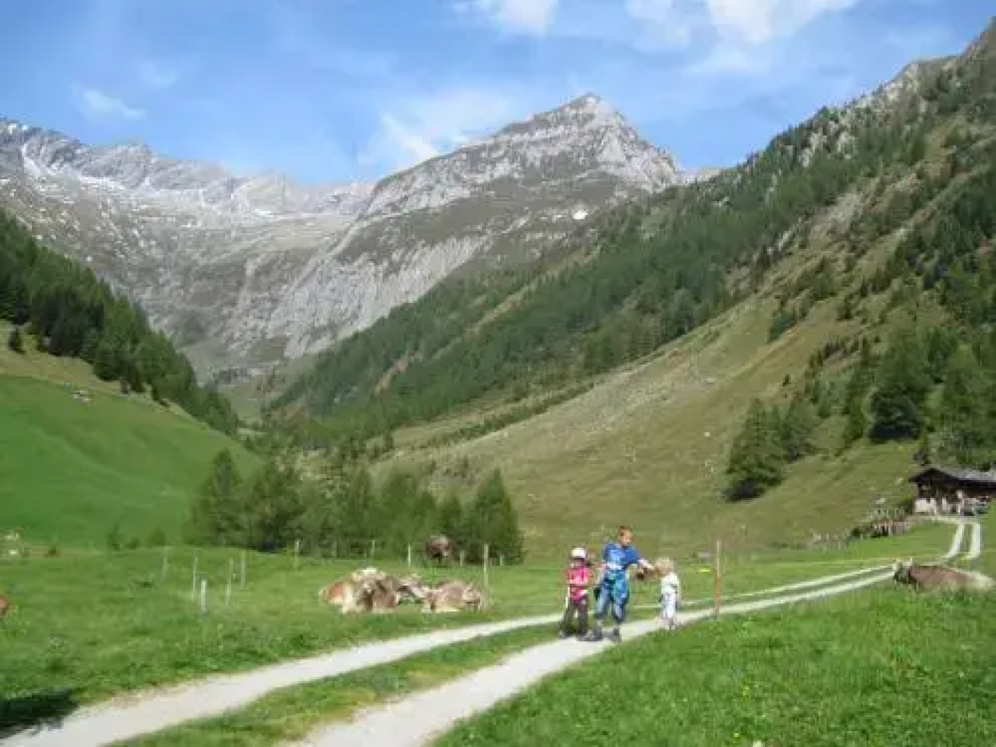 Bergdiamant