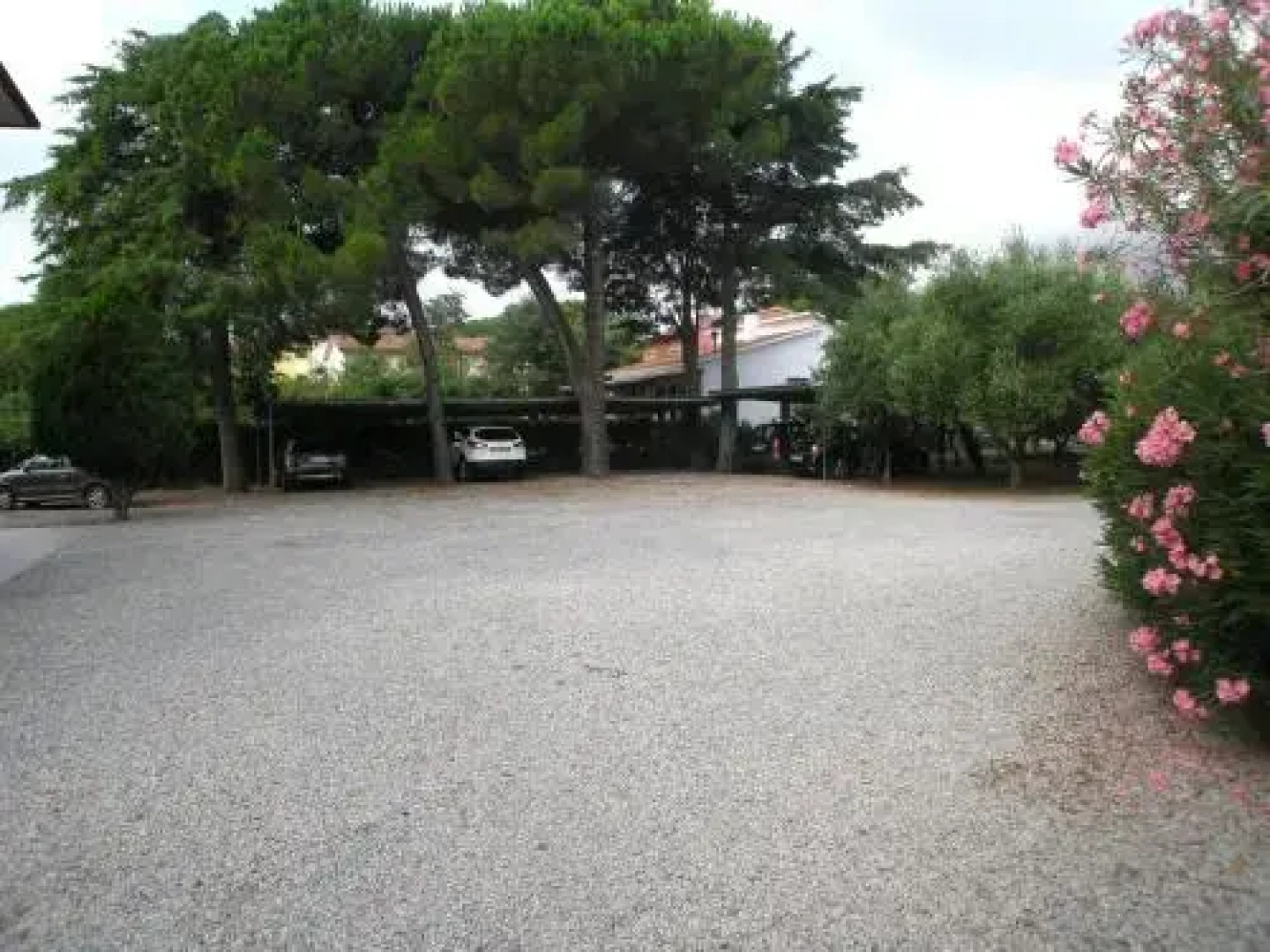 L' Oleandro
