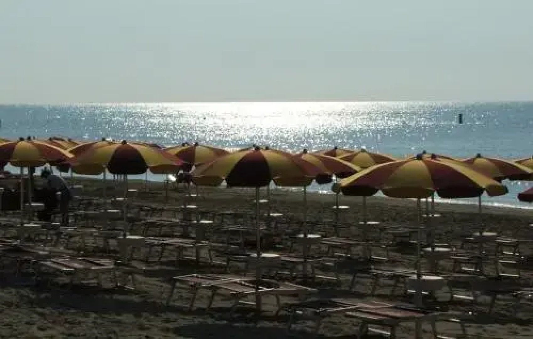 Ristorante Camping La Mimosa