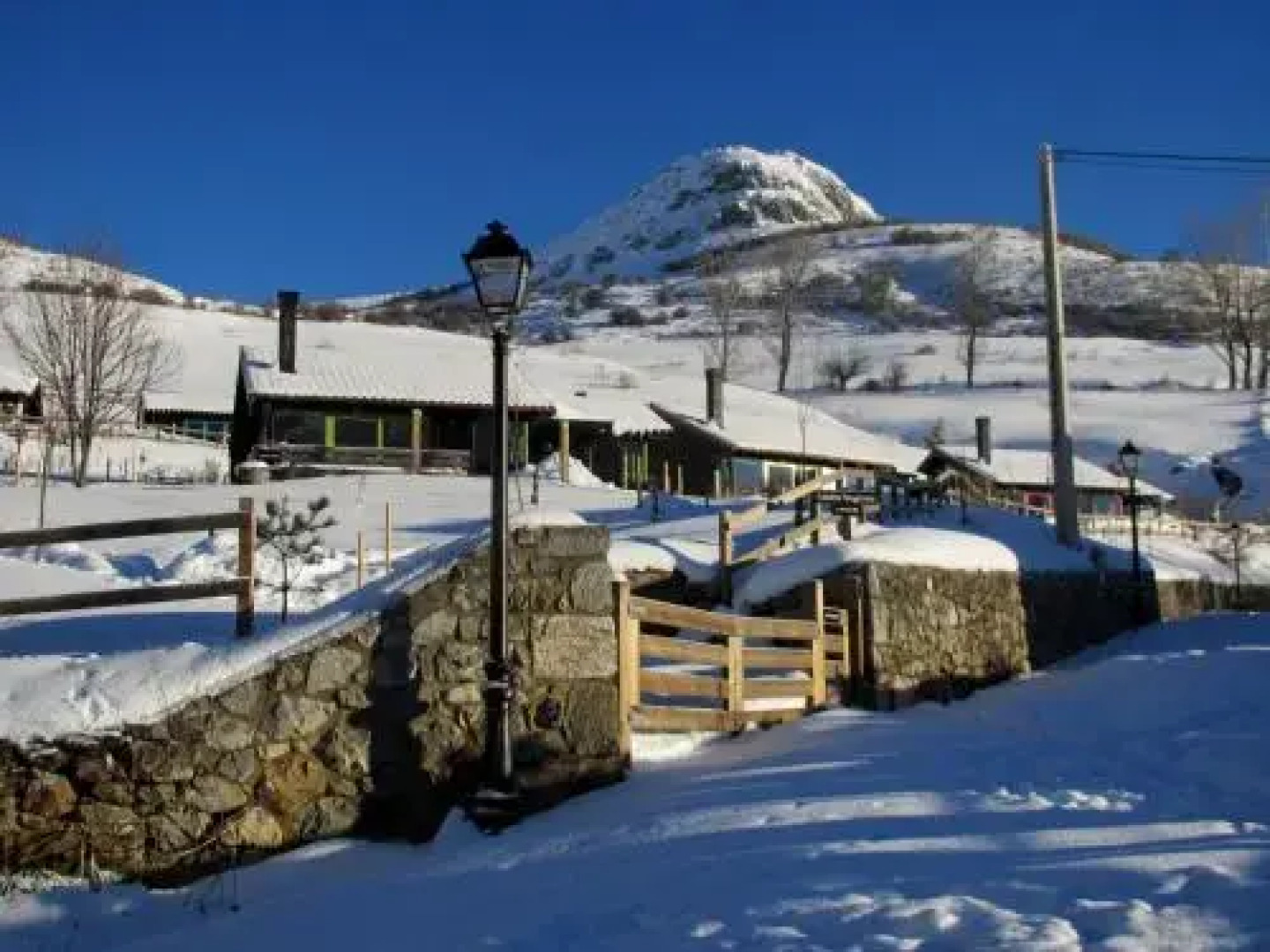 Cabañas Patagónicas