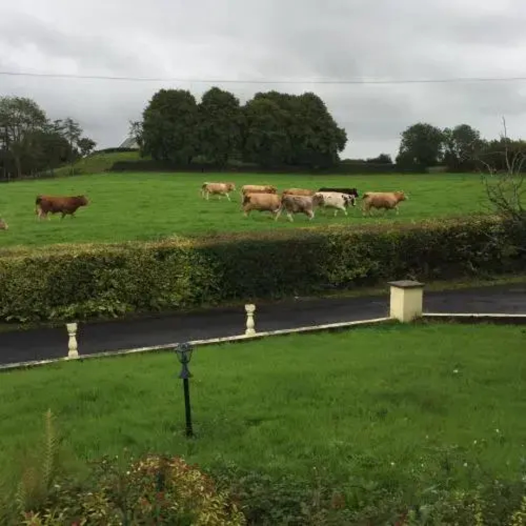 Bunratty View