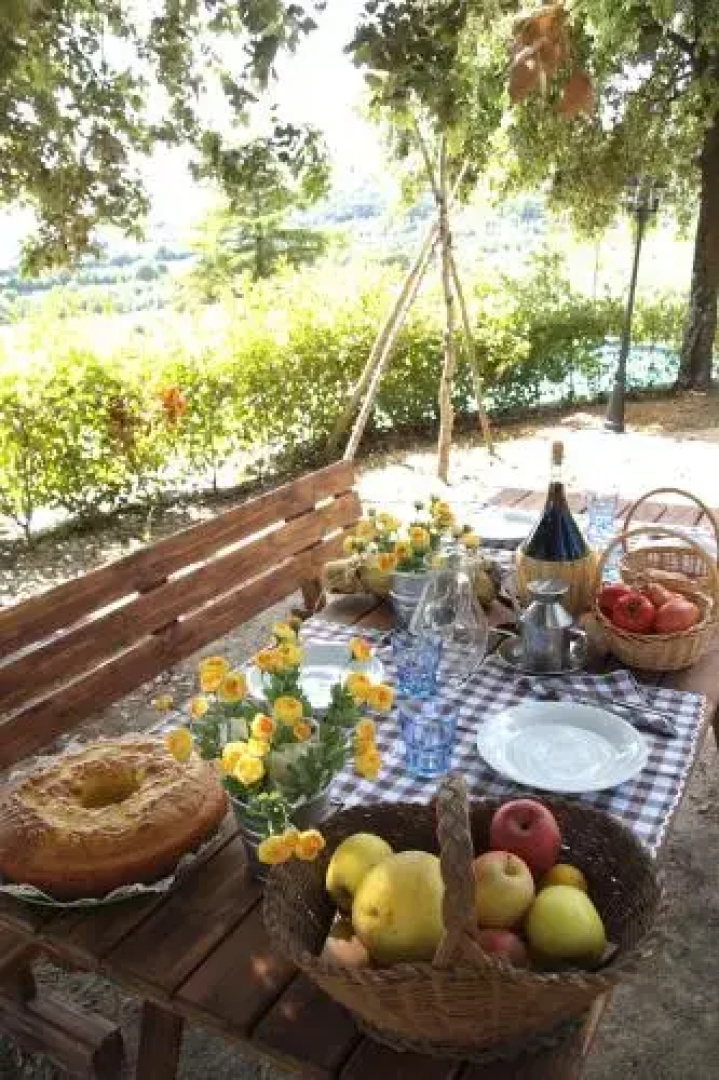 Cedri