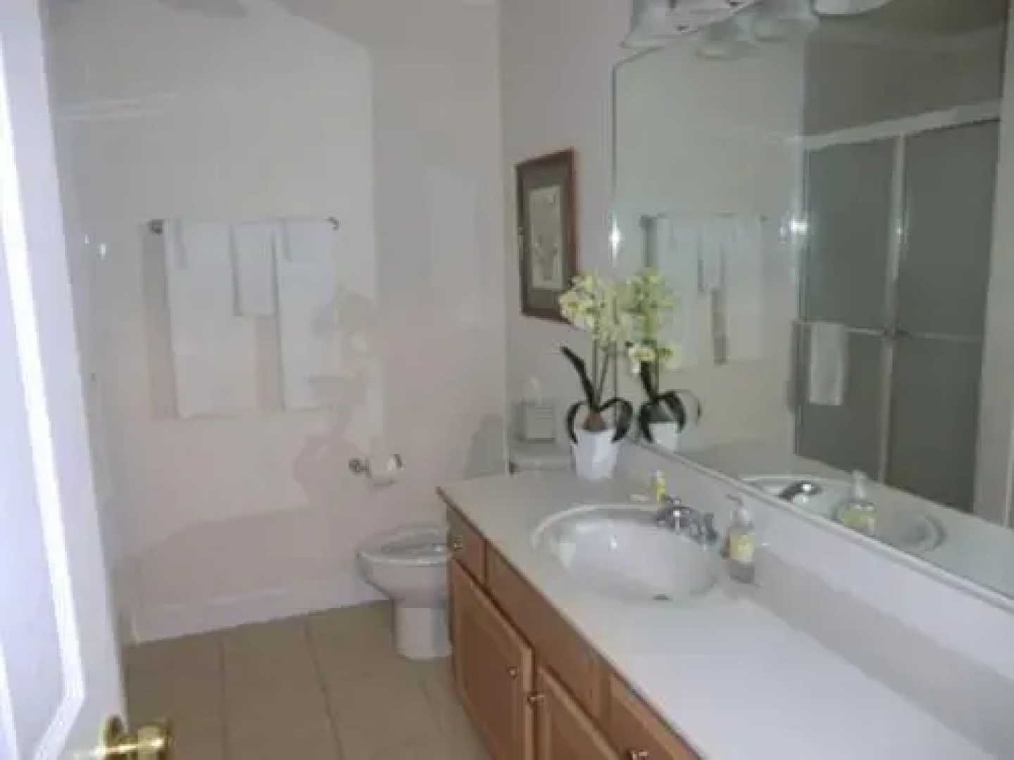 Black Forest Vacation Rentals