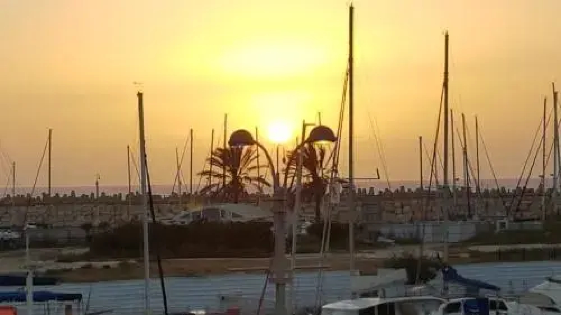 Lili's Place Apartments in The Marina