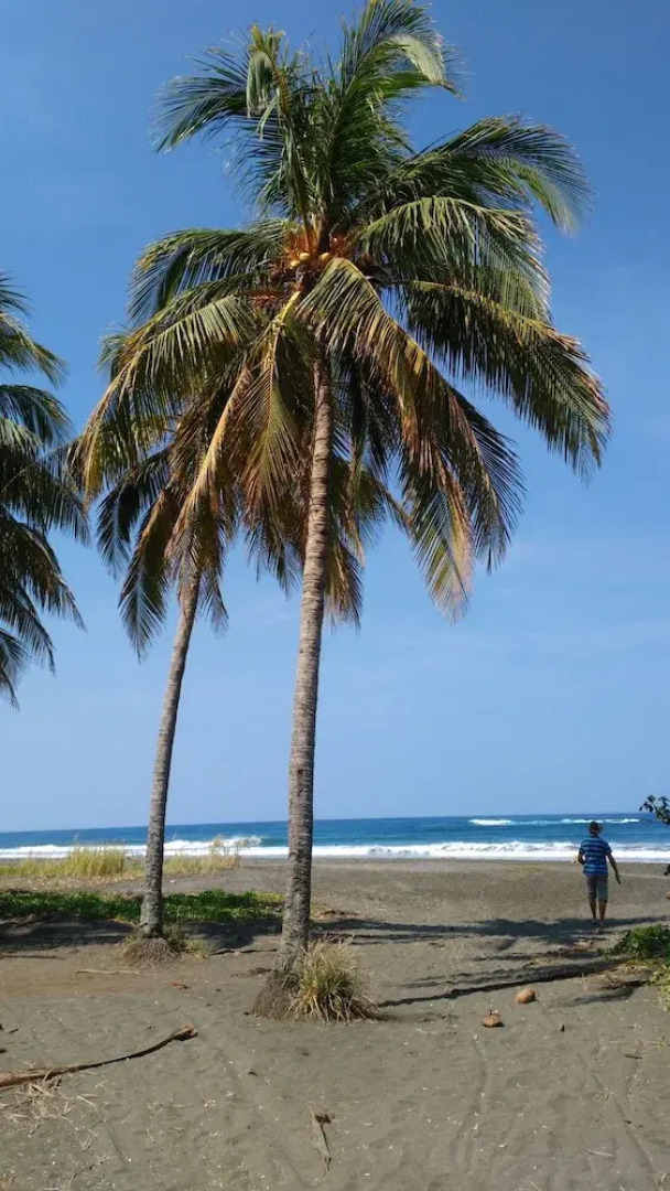 Les cabinas de Véronique