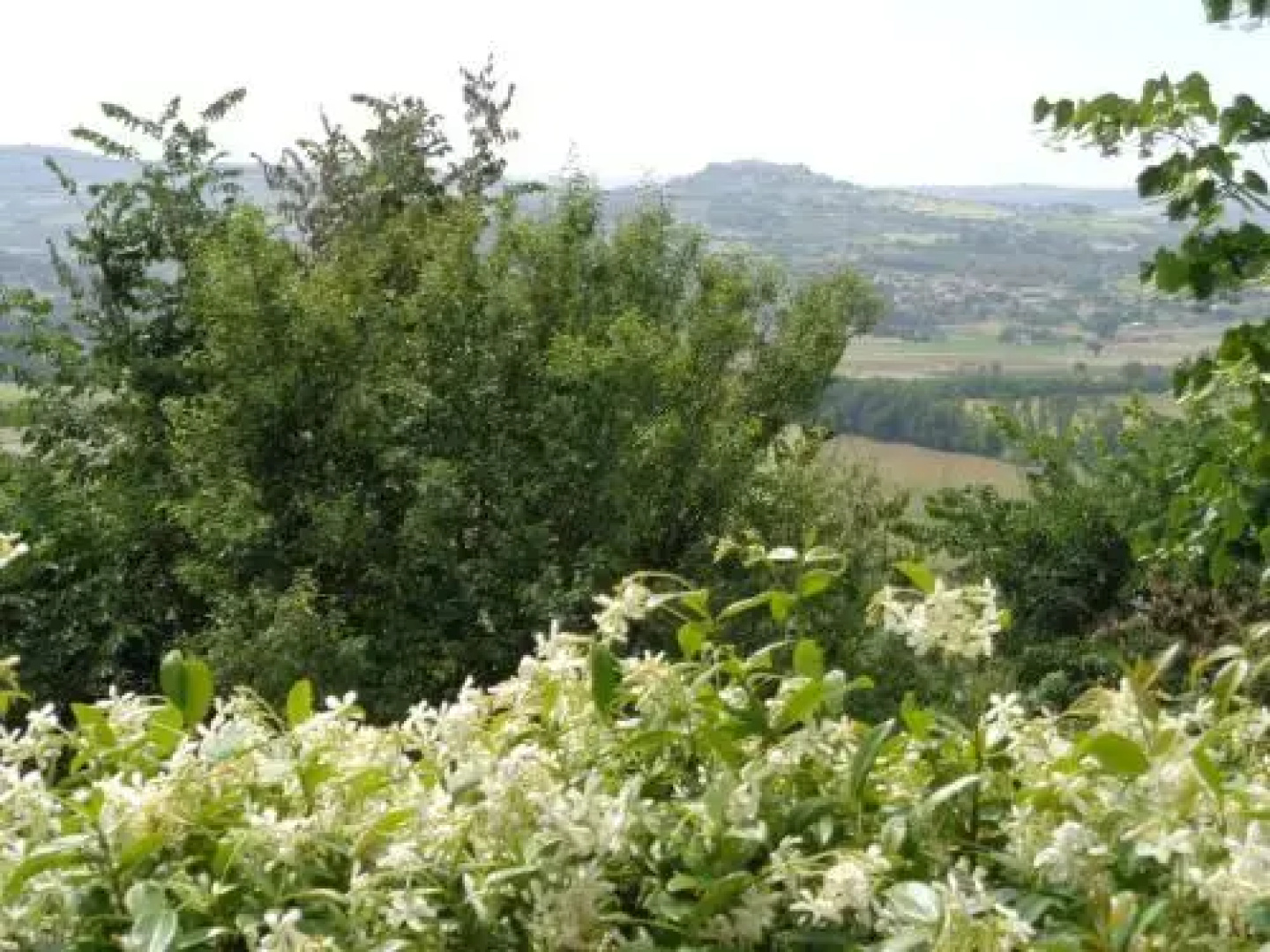Agriturismo La Torraccia
