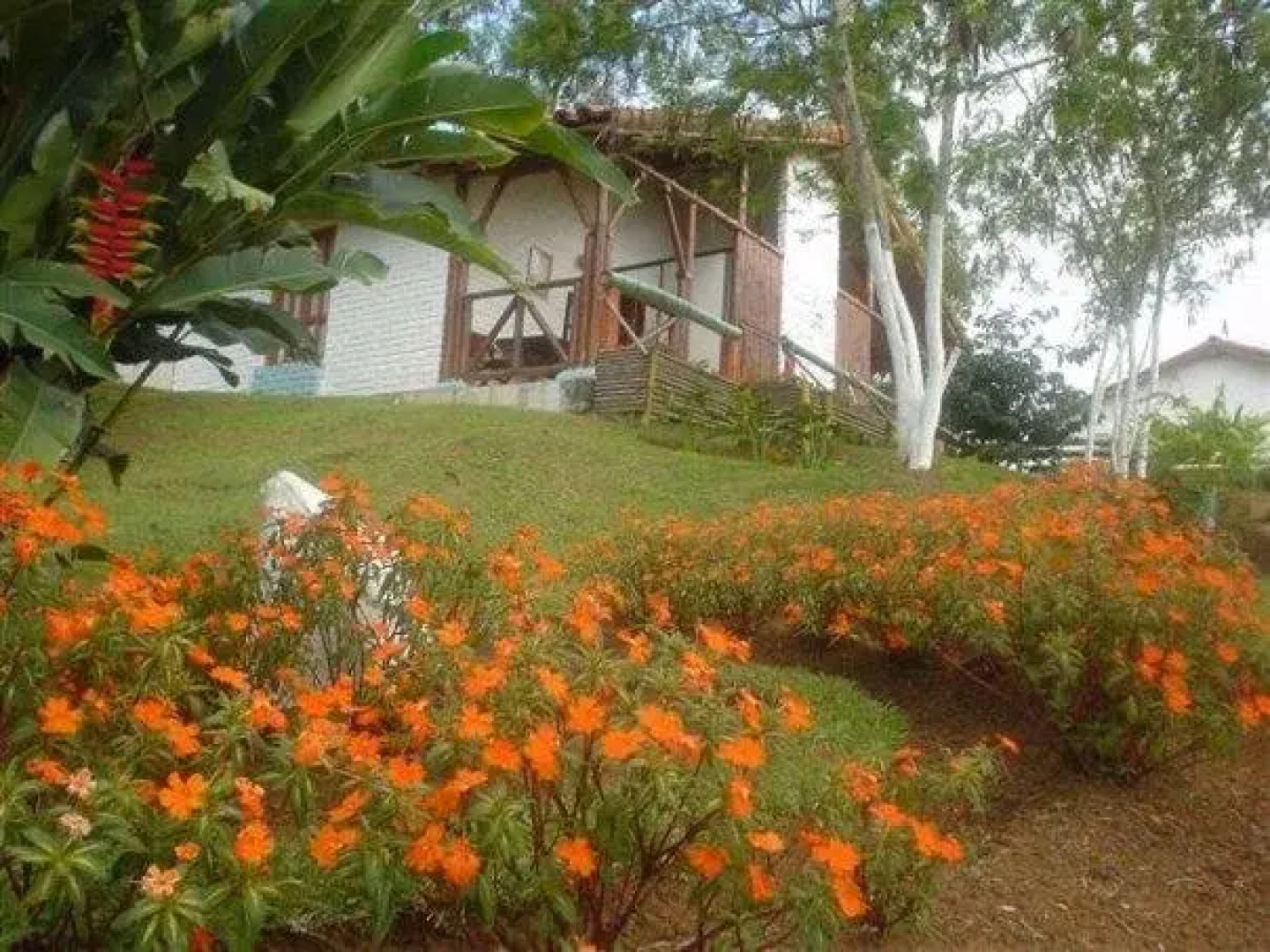 Cabañas La Primavera