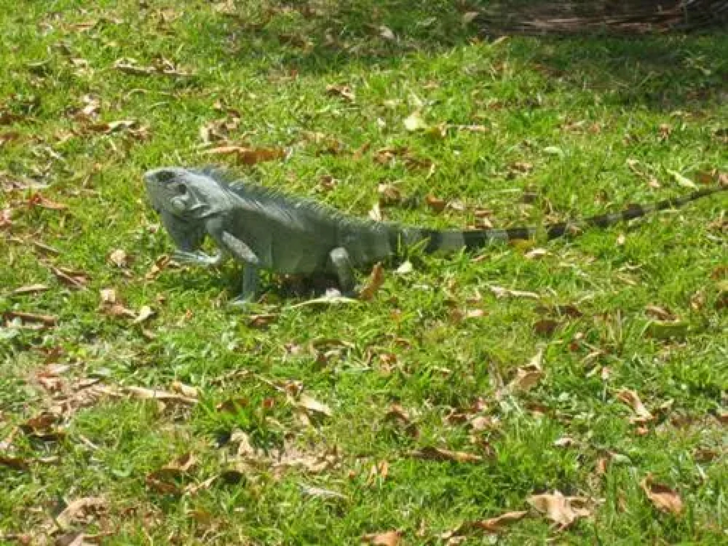 Pousada Ventania Do Rio-Mar