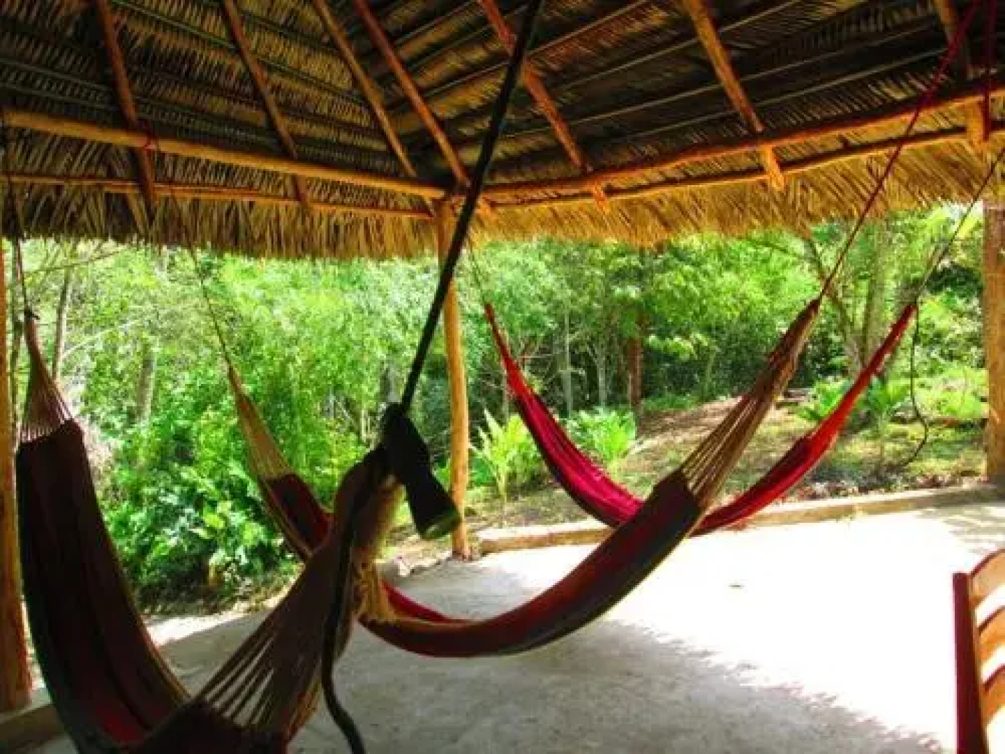Chaya Maya Jungle Lodge