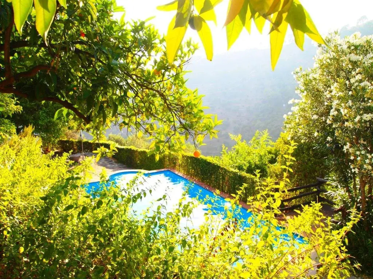 Finca El Molino De Aceite