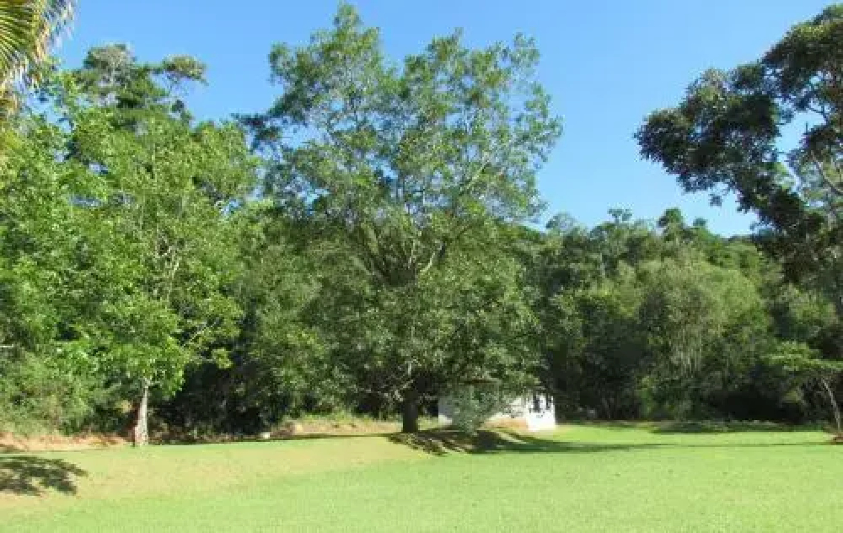 Fazenda São Miguel