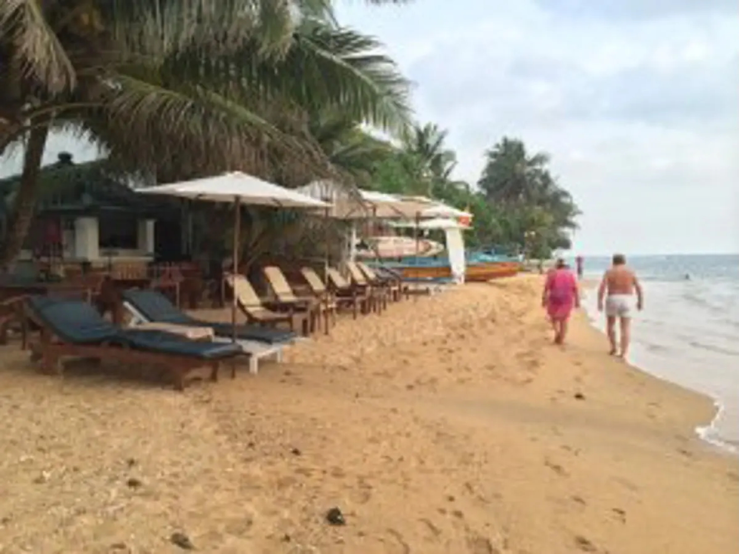 Coconut Bar Sea Lodge