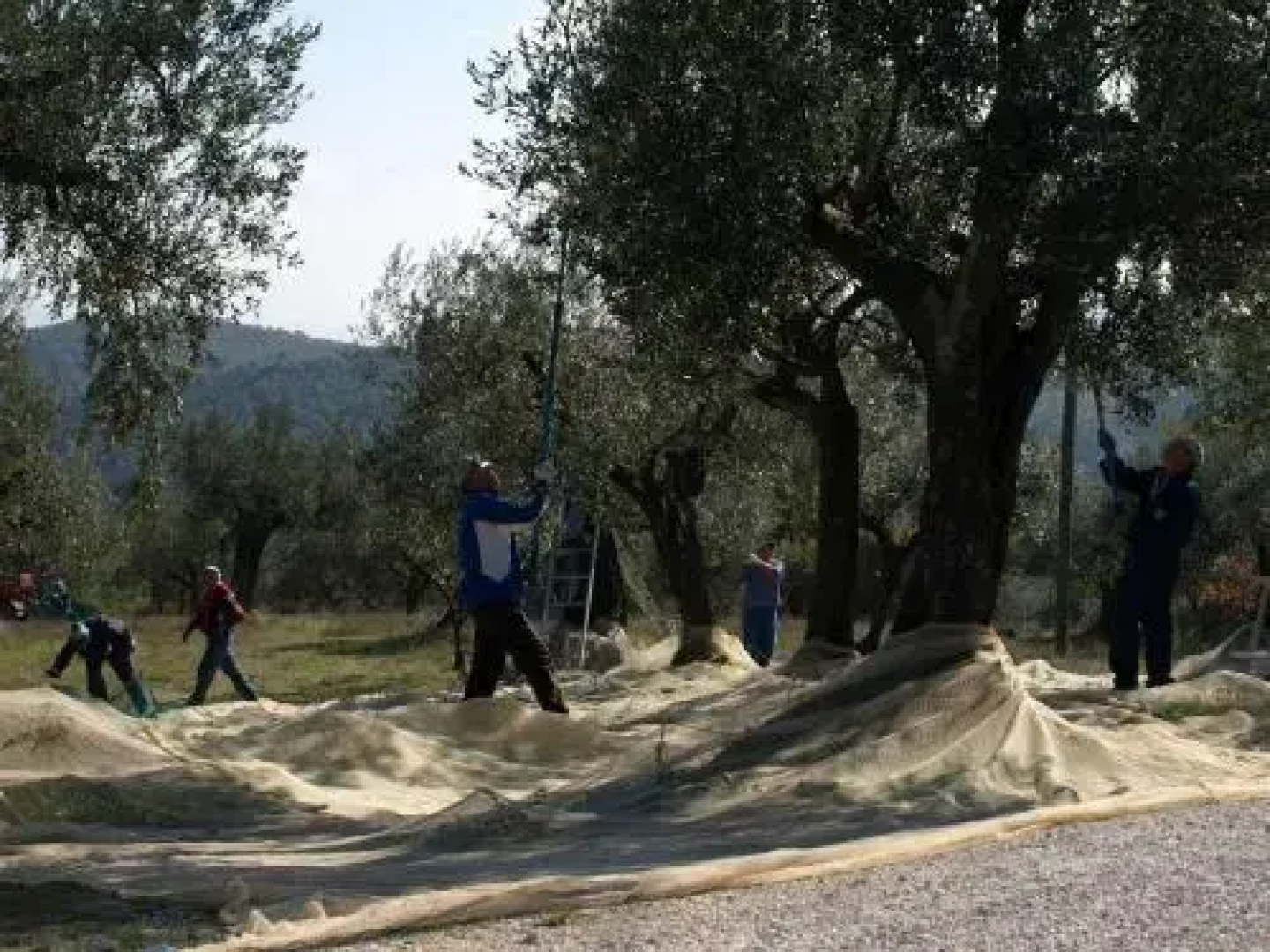 Holiday home Podere Schioppello