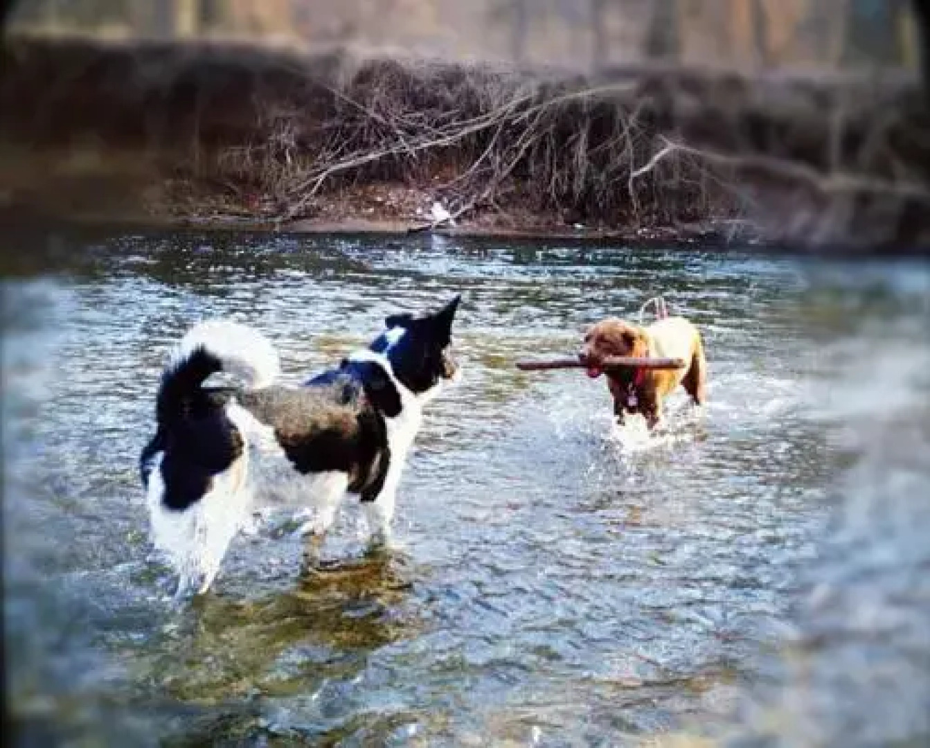 Private Retreat Apartment in DC