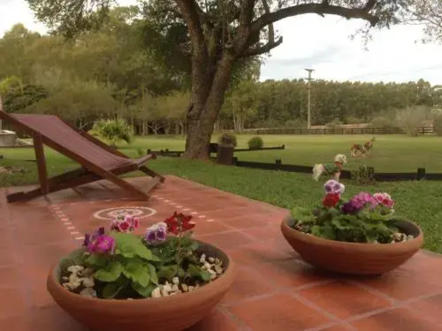 Noha Casa de Campo