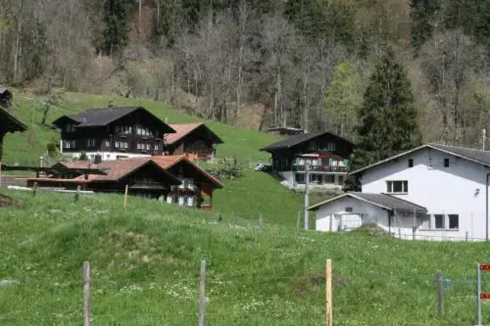 Beim See