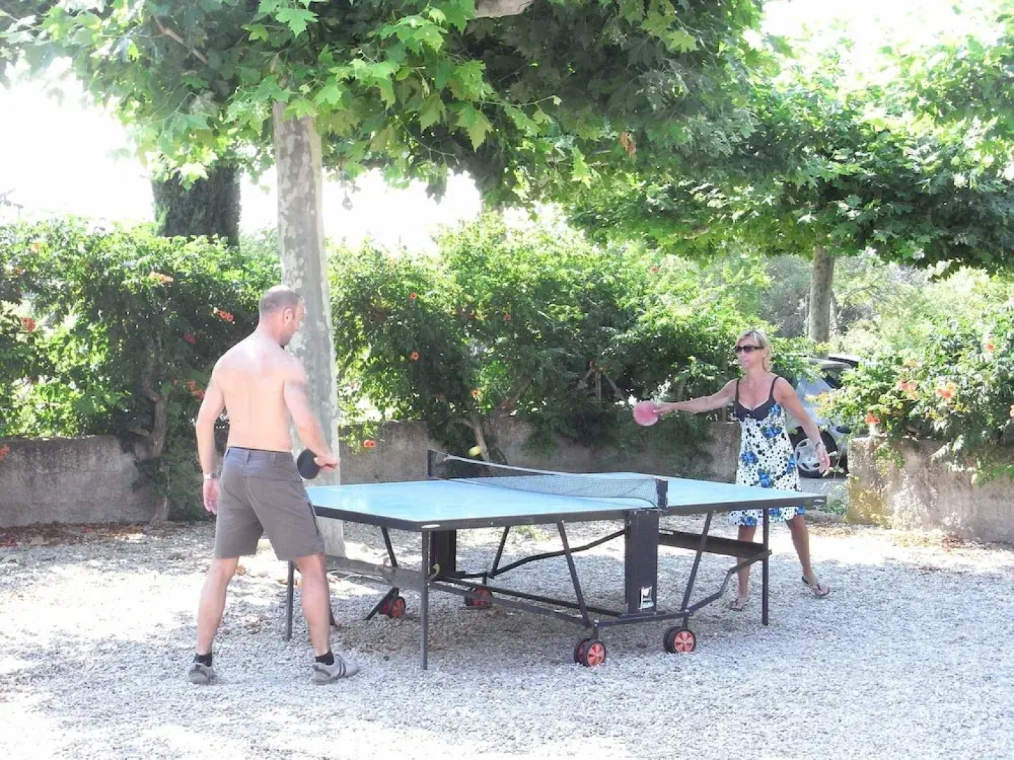 Le Mas des Hirondelles