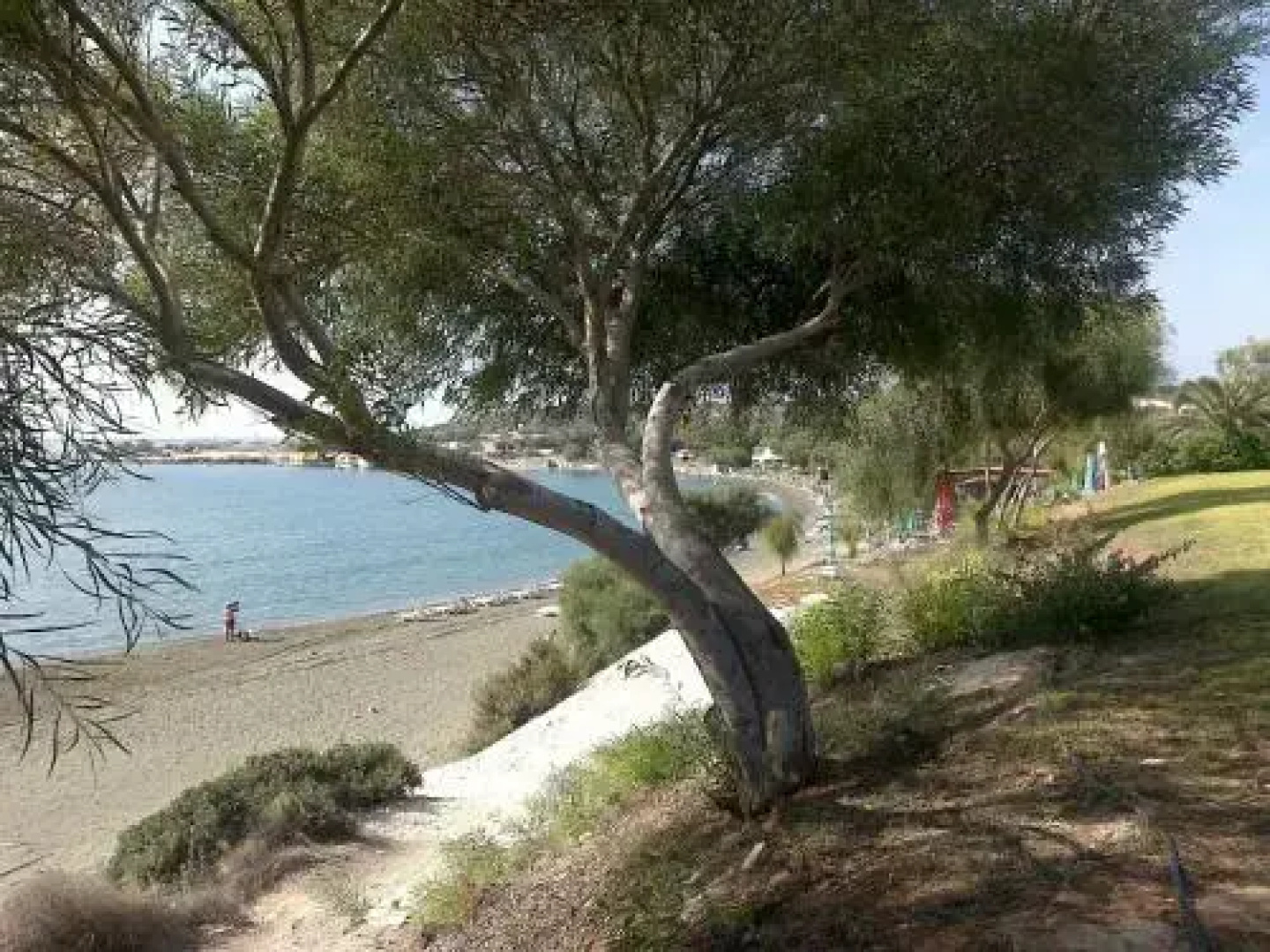 Cyprus Studio