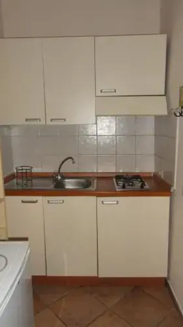 Piccola Volpe